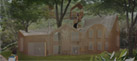 Concept 01 - Among The Trees