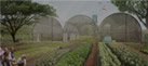Concept 07 - At The Farm
